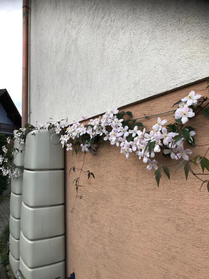 Appart Les Cerises Entre Strasbourg Et Haguenau Bischwiller Exteriör bild
