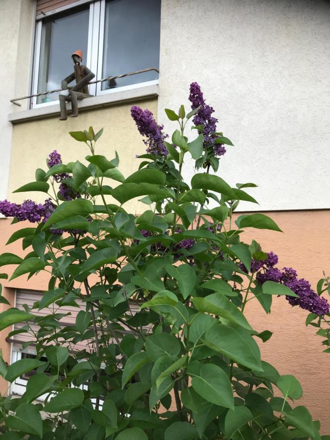 Appart Les Cerises Entre Strasbourg Et Haguenau Bischwiller Exteriör bild
